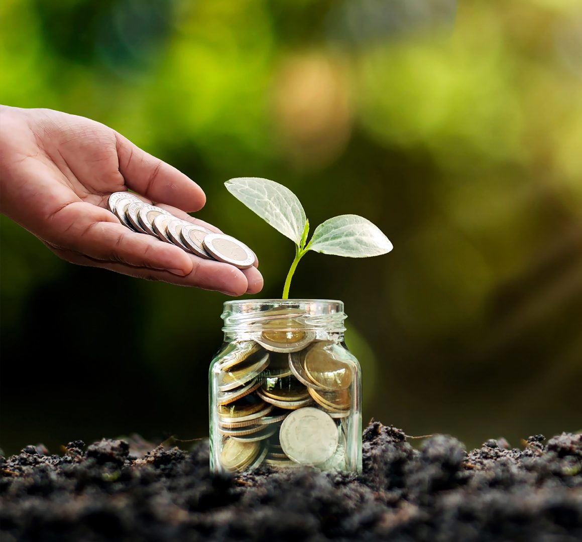 scouting e assistenza per la partecipazione a bandi